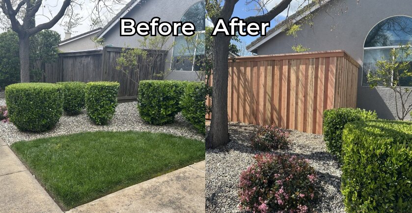 Before and after: old front fence replaced with new redwood
